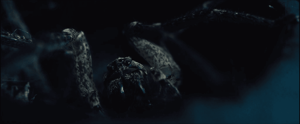 Remote Editing on Atom and Void